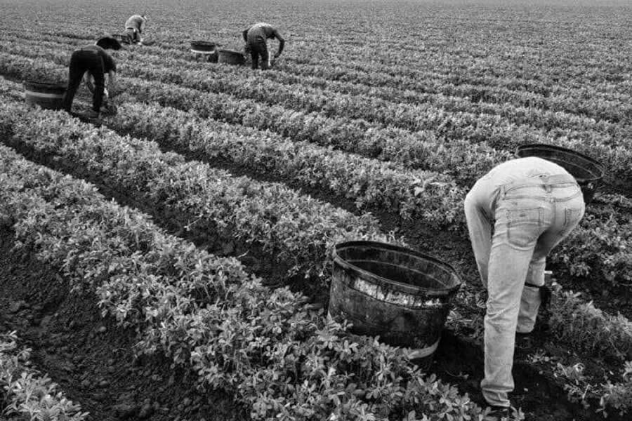 Richard Sharum Captures the Shared Humanity of America Heartland