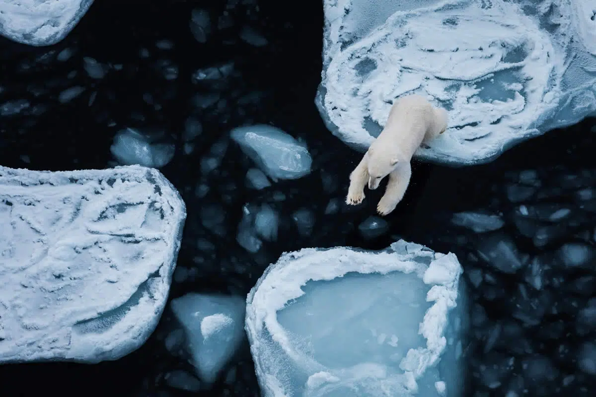 Nature and Landscape Photography by Benjamin Hardman