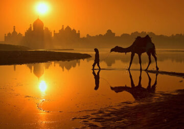 Enchanting Photographs That Capture India Unparalleled Charm