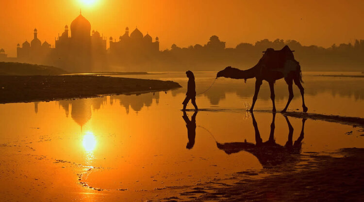 Enchanting Photographs That Capture India Unparalleled Charm