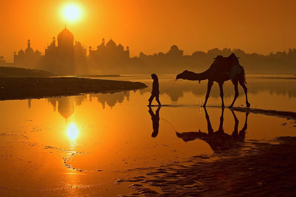 Enchanting Photographs That Capture India Unparalleled Charm