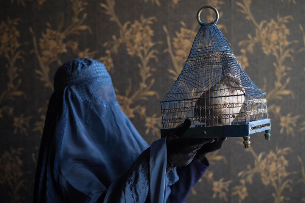 Istanbul Photo Awards 2025 Winners