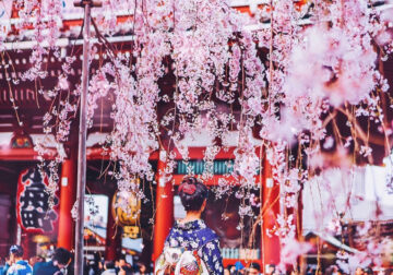 25 Enchanting Cherry Blossom Photos That Capture Japan’s Pink Fairy Tale Magic