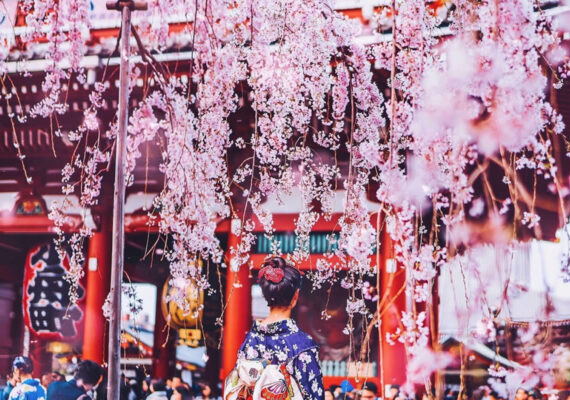 25 Enchanting Cherry Blossom Photos That Capture Japan’s Pink Fairy Tale Magic