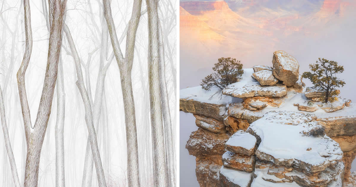 23 Enchanting Award Winners from the 2024 Natural Landscape Photography ...