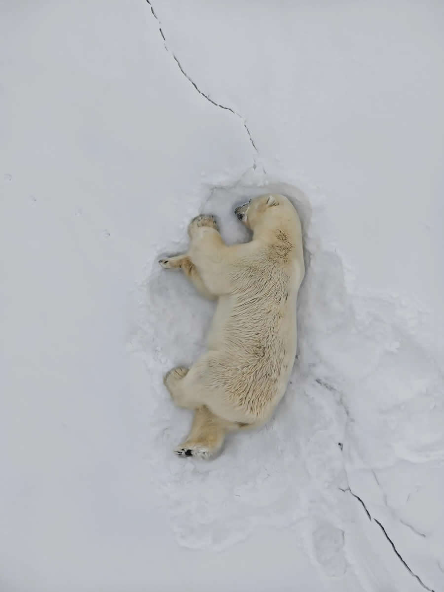 2024 Nature Photography Contest Winners