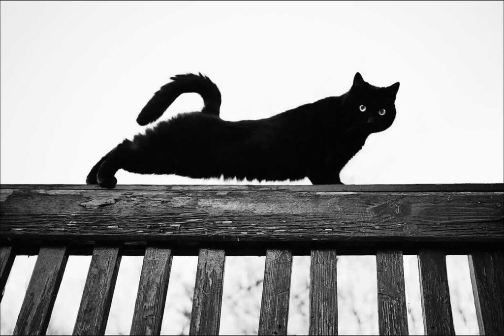 Street Photography by Lars Mollitor