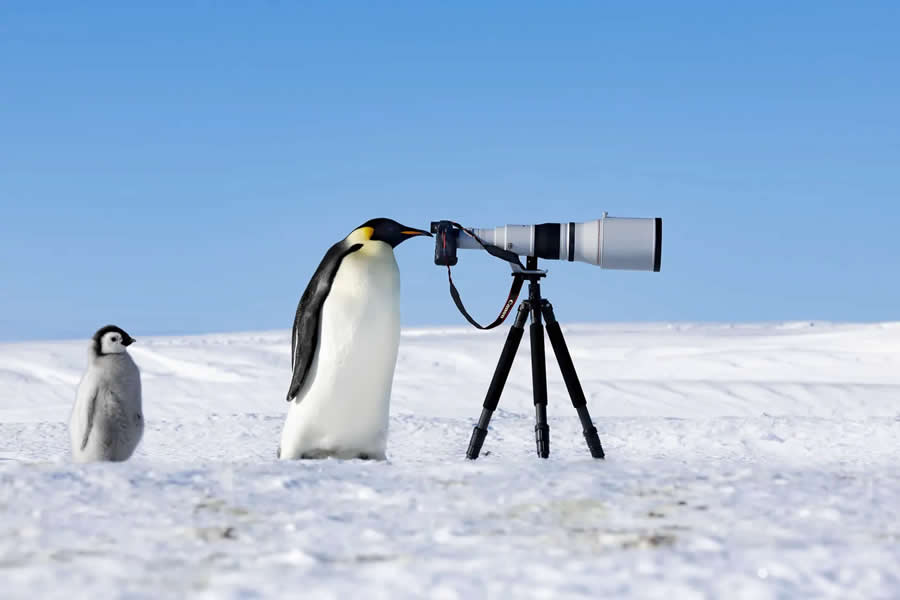 Winning Photos from the 2024 Nature Photography Contest