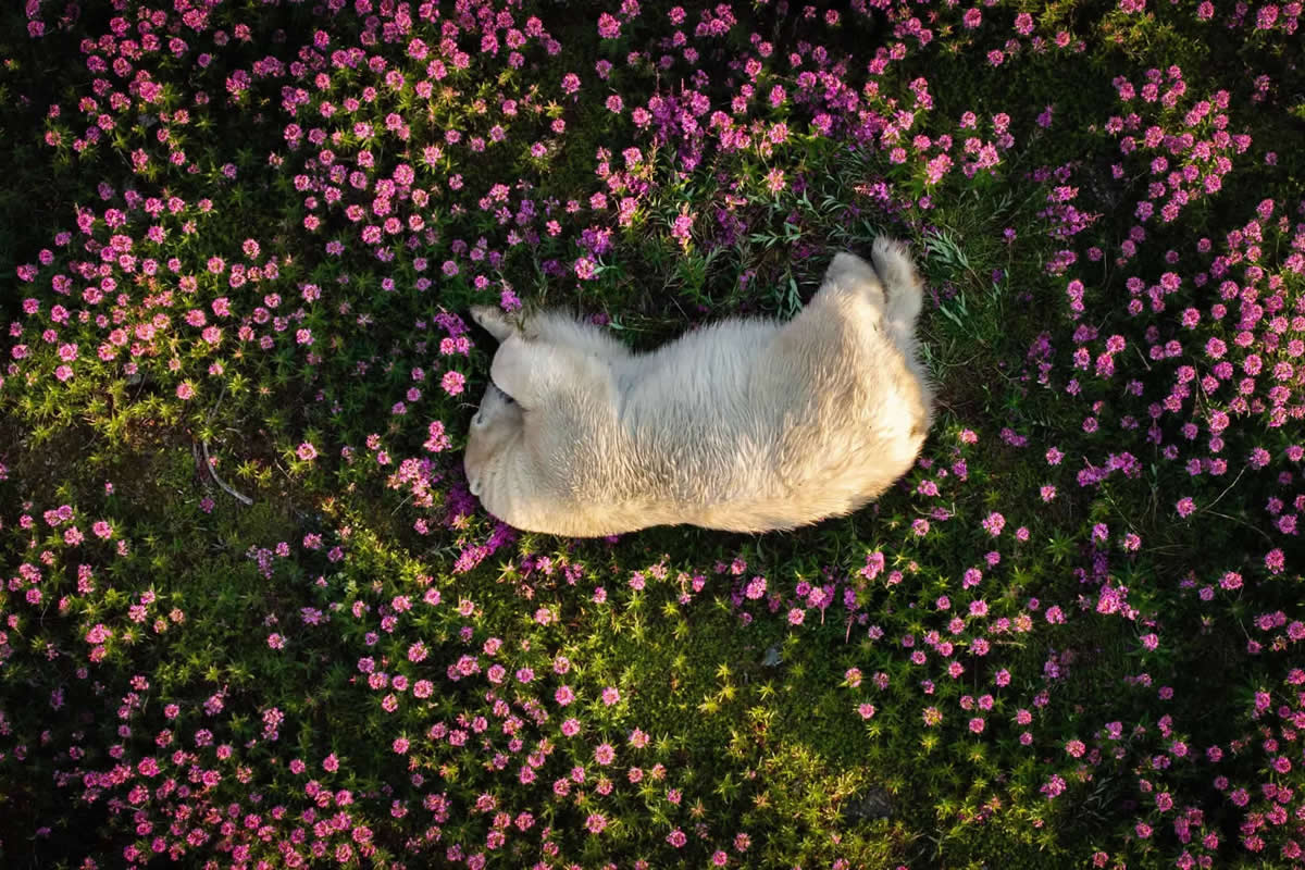 Winning Photos from the 2024 Nature Photography Contest