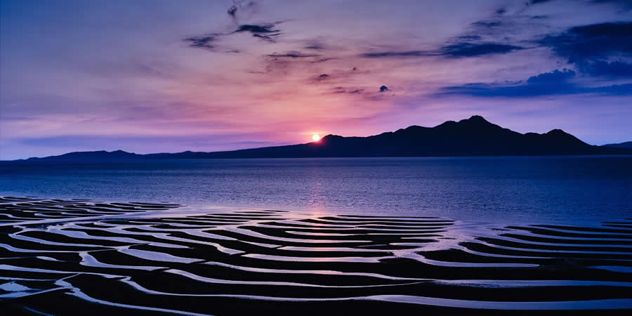 2024 Tokyo International Foto Nature Awards