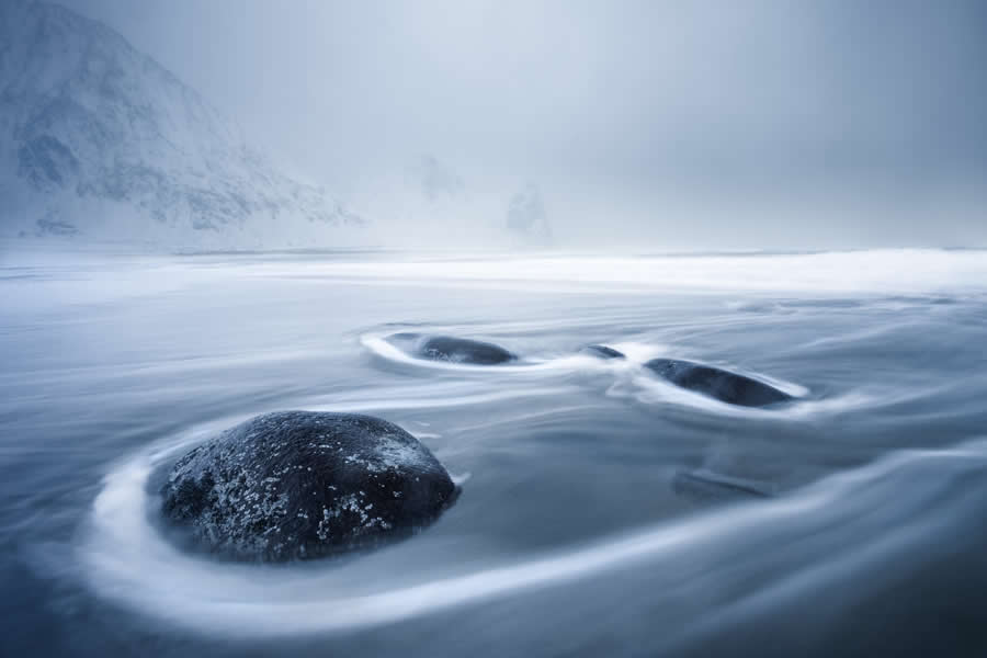 2024 Tokyo International Foto Nature Awards