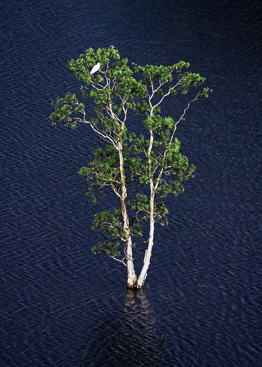 2024 Tokyo International Foto Nature Awards