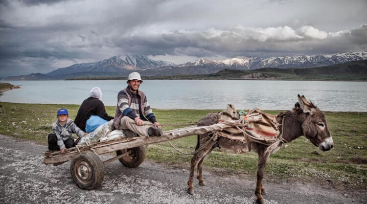 Culture and Traditional Life in the Turkish Mountains by Nadir Bucan