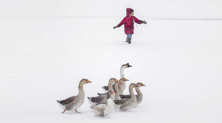 Turkish Daily Life Travel Photography by Faruk Akbas