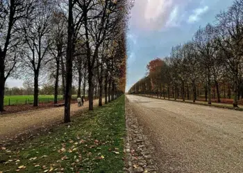 Couple walking along a tree-lined autumn avenue wow-worthy candid photography