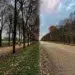Couple walking along a tree-lined autumn avenue wow-worthy candid photography