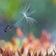 Macro Winning Photos From The 35 Photography Awards