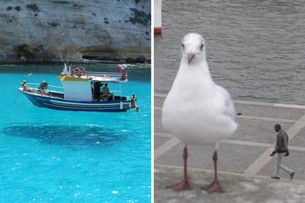 25 Tricky And Confused Photos That Will Make You Look Twice