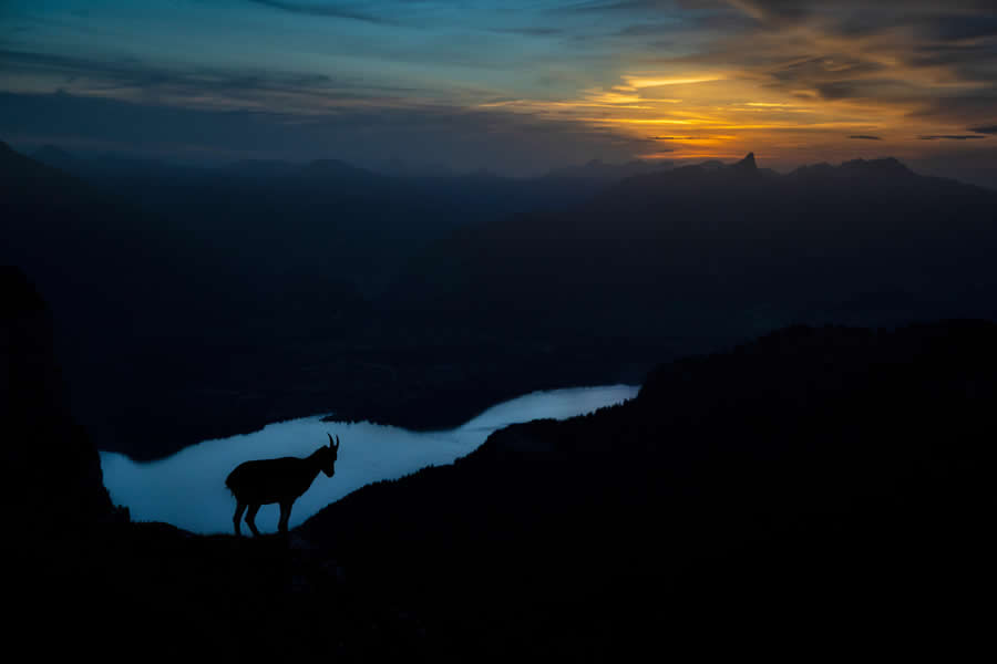 2025 GDT Nature Photographer of the Year Winners