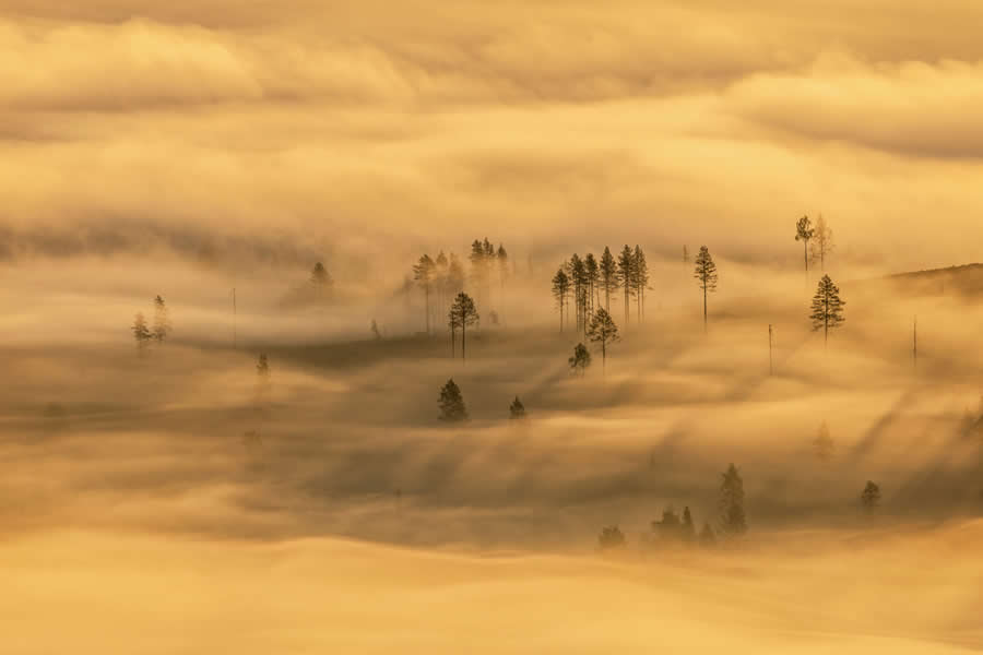 2025 GDT Nature Photographer of the Year Winners