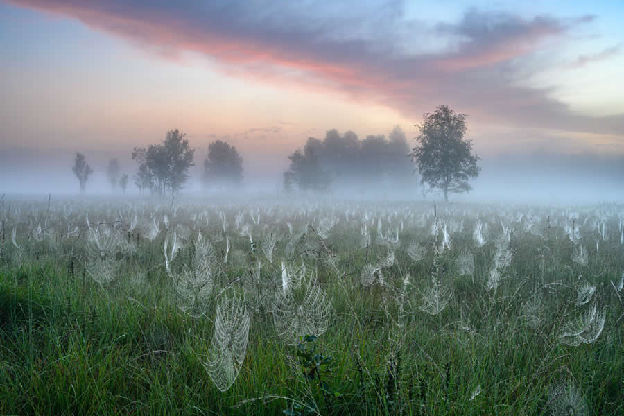 2025 GDT Nature Photographer of the Year Winners