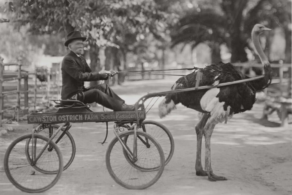 Powerful Historical Photos That Will Change the Way You See the Past