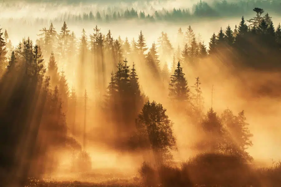 Landscape Photos So Beautiful They Look Like Paintings