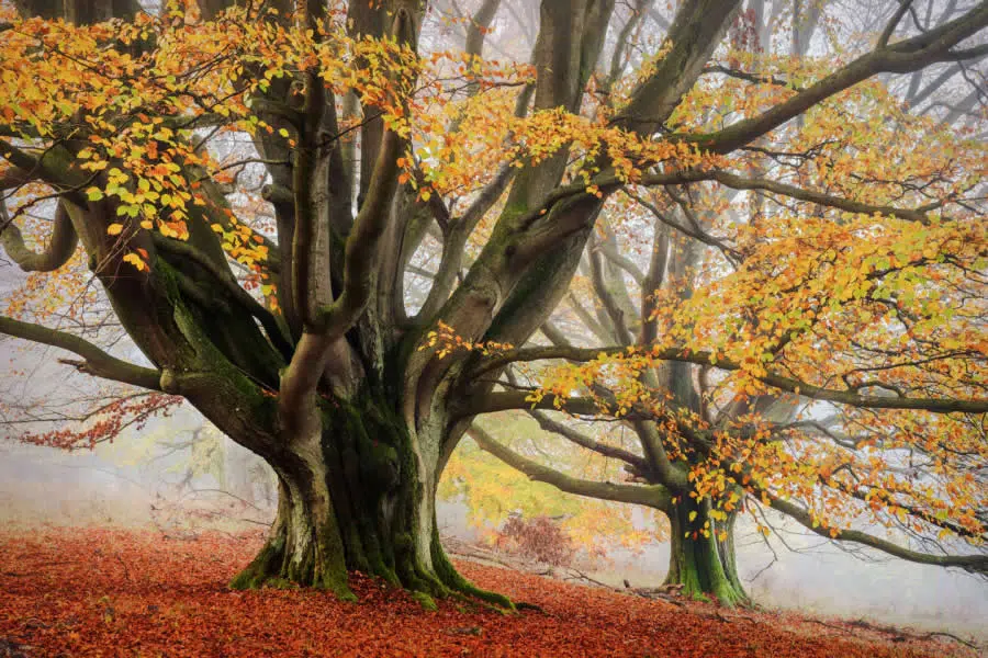Landscape Photos So Beautiful They Look Like Paintings