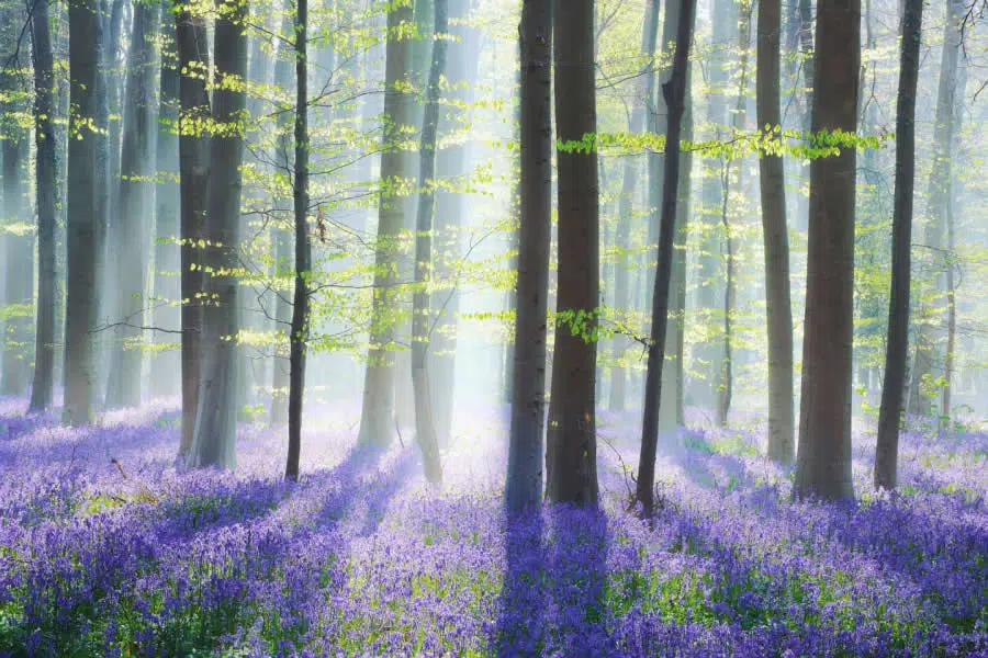 Landscape Photos So Beautiful They Look Like Paintings