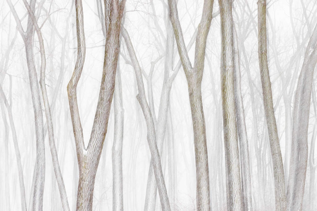 Award-Winning Landscape Shots That Redefine Simplicity