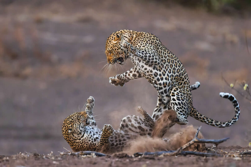Nature Best Photography Awards