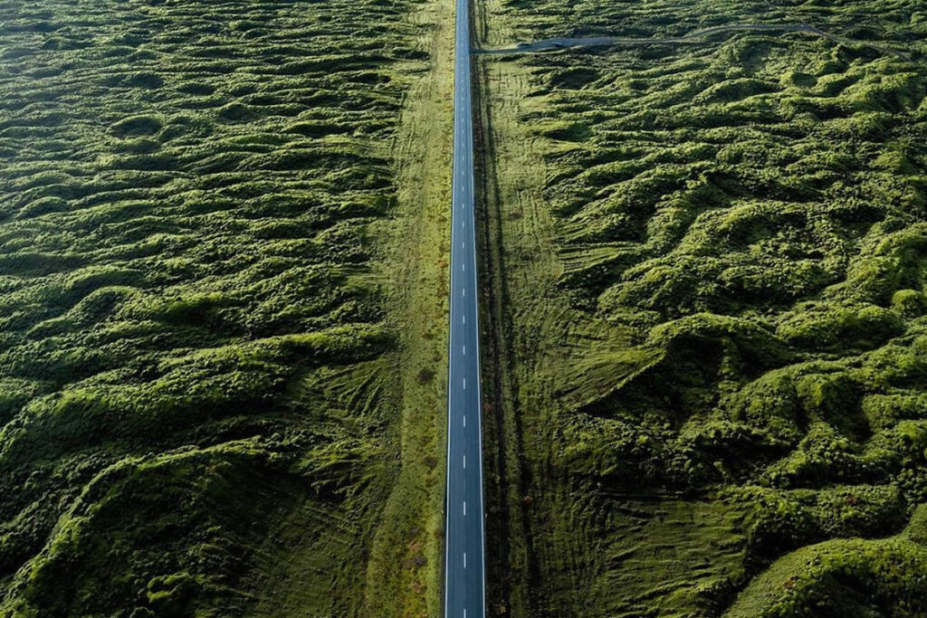 Mesmerizing Nature Photography