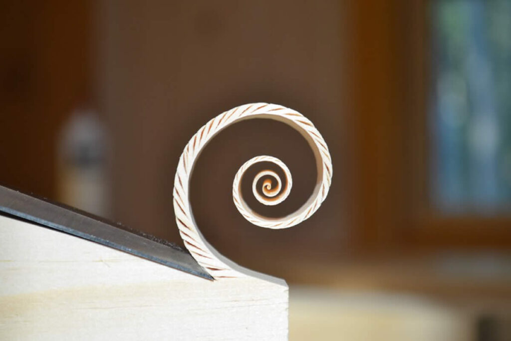Perfect Photos That Bring Order, Balance