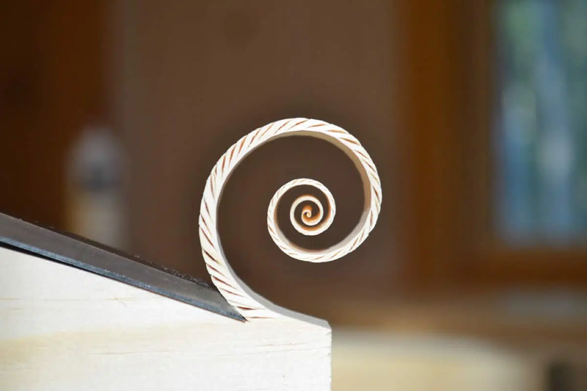 Perfect Photos That Bring Order, Balance