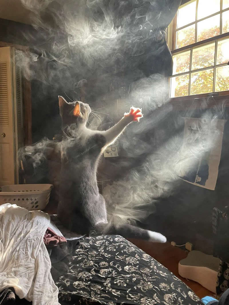 Accidental Photos That Surprisingly Resemble Renaissance Paintings