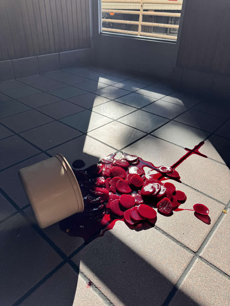 Accidental Photos That Surprisingly Resemble Renaissance Paintings