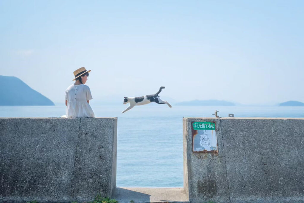 Timely Moments on Street Photography