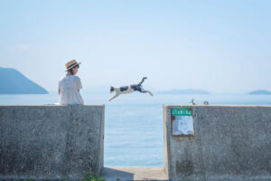 30 Outstanding Street Photos That Capture the Art of Perfect Timing