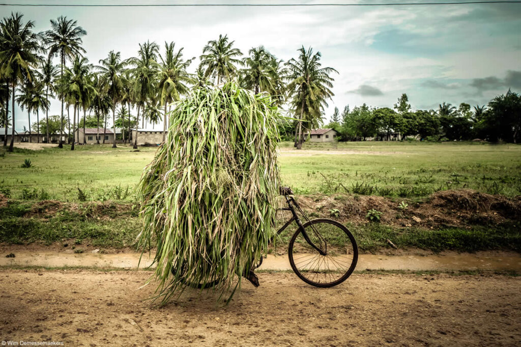 Shortlisted Photos from the 2025 World Food Photography Awards