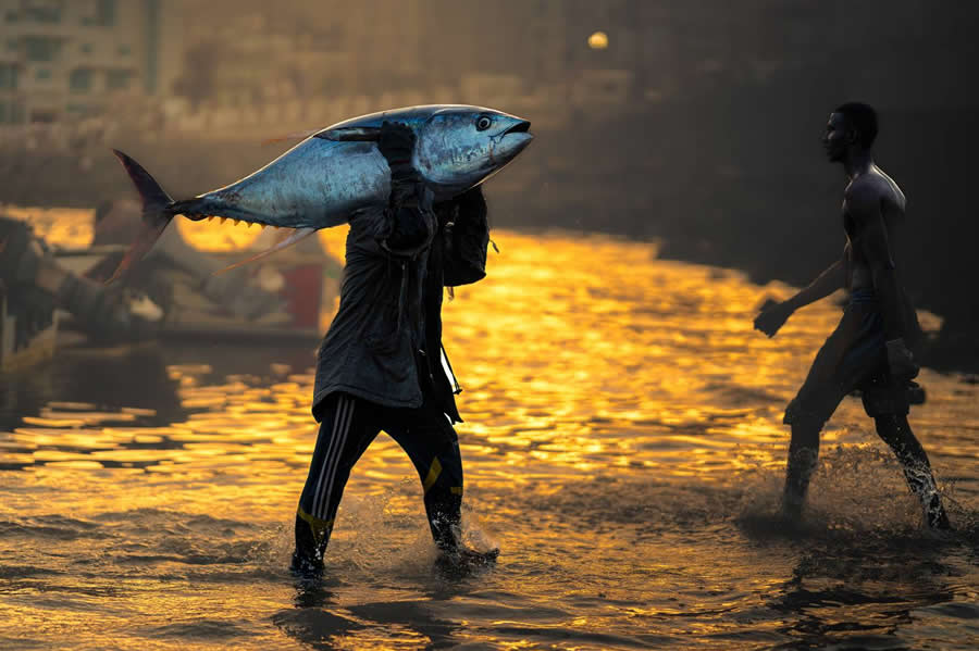 Award-Winning Street Photos from the 35 Photography Awards