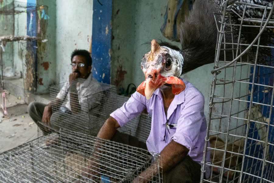 Award-Winning Street Photos from the 35 Photography Awards