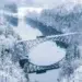 Train crossing a steel arch bridge over a frozen river in a snowy forest