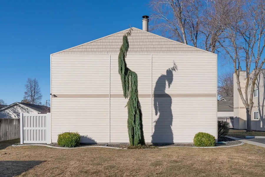 AAP Magazine Awards on the Theme of Shadows