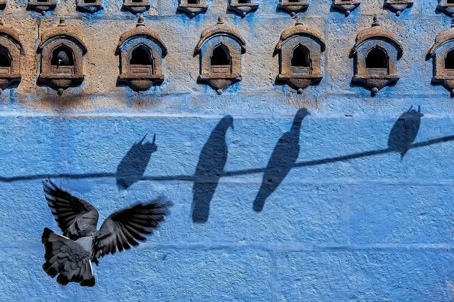 AAP Magazine Awards on the Theme of Shadows