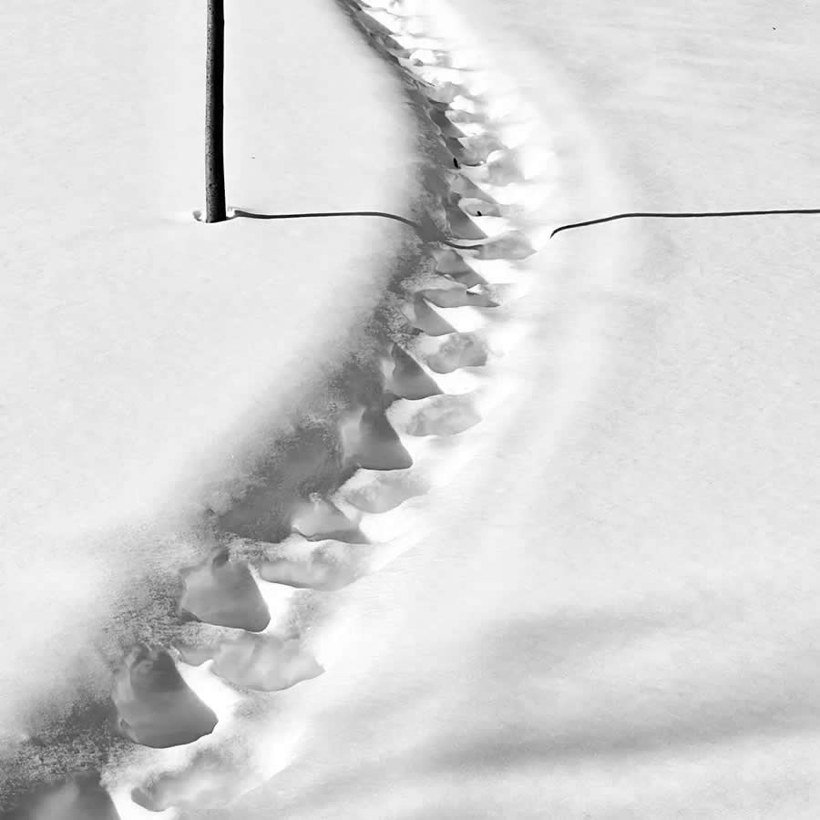 AAP Magazine Awards on the Theme of Shadows