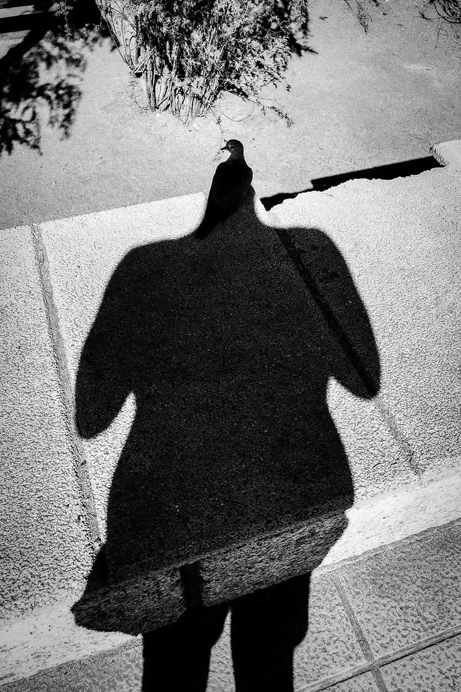 AAP Magazine Awards on the Theme of Shadows