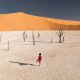 One Eyeland Travel Photography Awards