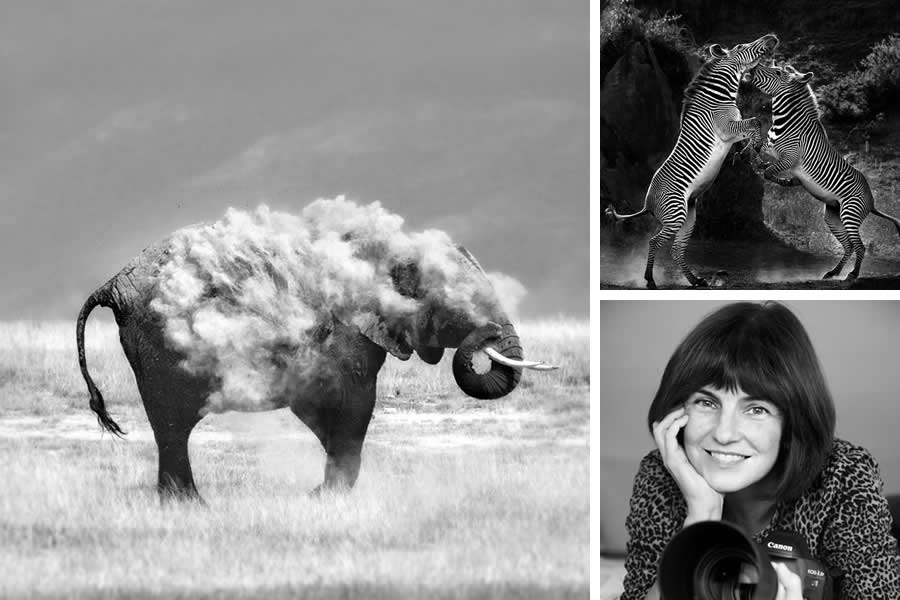 Award-Winning Wildlife Photographers You Should Know About