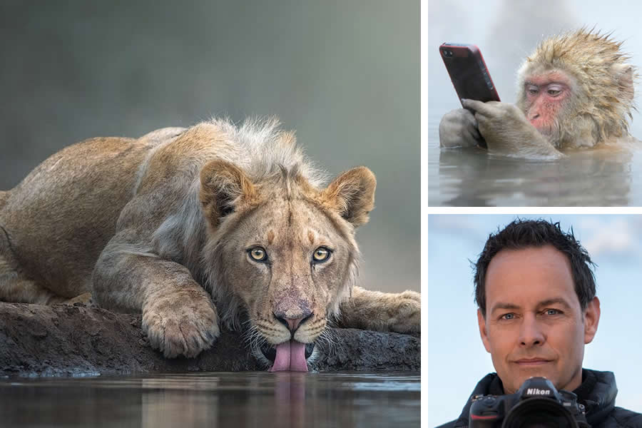 Award-Winning Wildlife Photographers You Should Know About