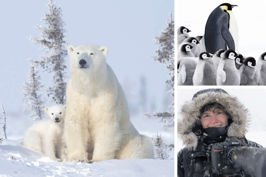 Award-Winning Wildlife Photographers You Should Know About